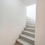 Zennova #40 Trikorfo Apartment